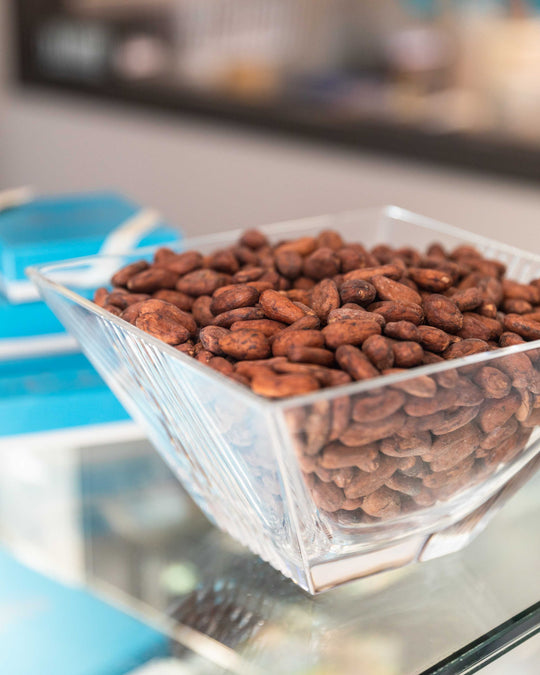 Bowl of cacao beans