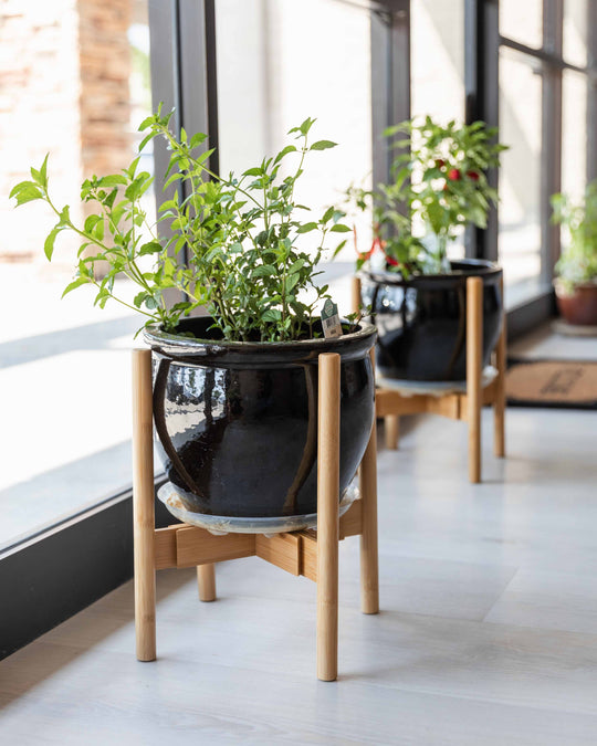 Decorative pots inside storefront